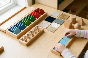 Montessori Sensorial Materials: The Complete Guide for Parents