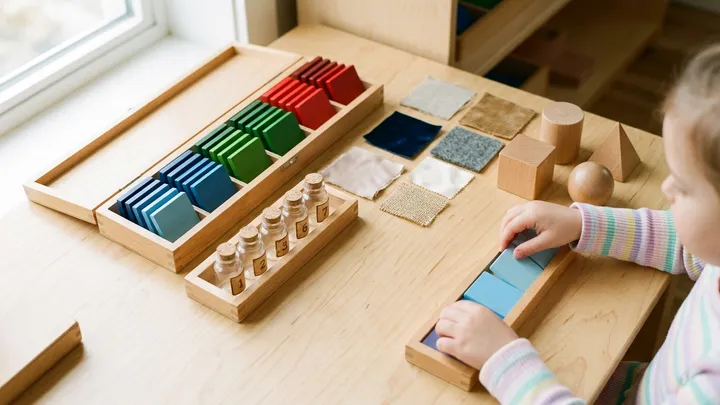 Montessori Sensorial Materials: The Complete Guide for Parents